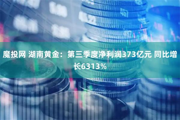 魔投网 湖南黄金：第三季度净利润373亿元 同比增长6313%